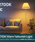Dimmable LED A19 Bulbs 60W Equivalent 800 Lumens 2700K Soft White E26 Base 9W Energy Saving warm living room scene
