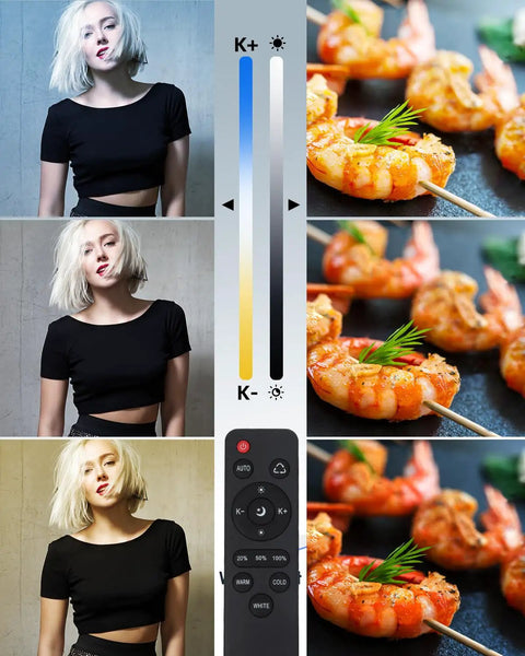 Softbox Lighting Kit 2Pack 20x28 Inch with 85W LED bulbs; model, shrimp, remote and color temp display for camera video lighting
