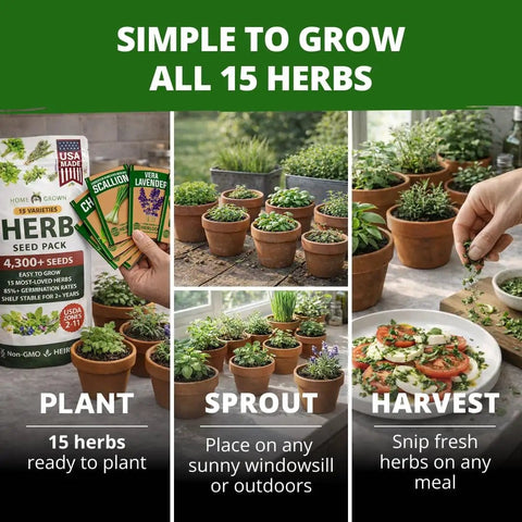 15 All In One Herb Seed Pack For Indoor Outdoor And Hydroponic Gardens With Over 4,300 Seeds Non GMO Heirloom Culinary Herbs
