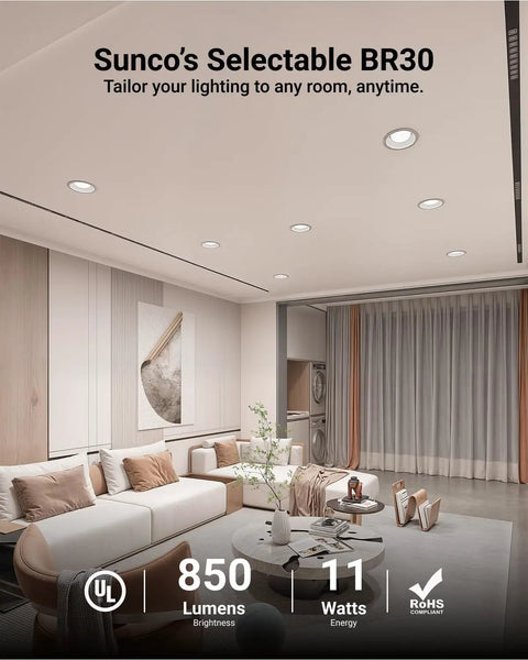 Modern living room with 12 Pack BR30 LED Flood Light Bulbs For Recessed Can Lighting, Dimmable E26, 850 Lumen, 11W (65W Equivalent).