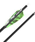 Close-up of Six Or Twelve Pack Carbon Arrows 500 Spine With 4 Inch Turkey Feather Fletching, 28, 30, 31 Inch Lengths, 100 Grain Tips