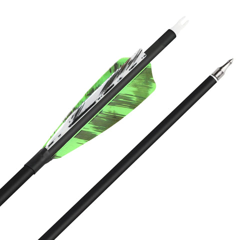 Close-up of Six Or Twelve Pack Carbon Arrows 500 Spine With 4 Inch Turkey Feather Fletching, 28, 30, 31 Inch Lengths, 100 Grain Tips