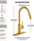 Gold Kitchen Faucet With Pull Down Sprayer, Brushed Brass High Arc Gooseneck Sink Faucet, Single Handle, with dimensions and deck plate
