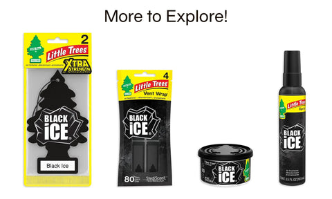 Little Trees Black Ice car air freshener assortment: hanging tree 2-pack, vent wrap 4-pack, spray bottle, and fiber can.
