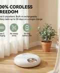 Set It And Forget It Automatic Wet Food Feeder For Cats With Rust Proof Stainless Steel Tray shown in a modern room.