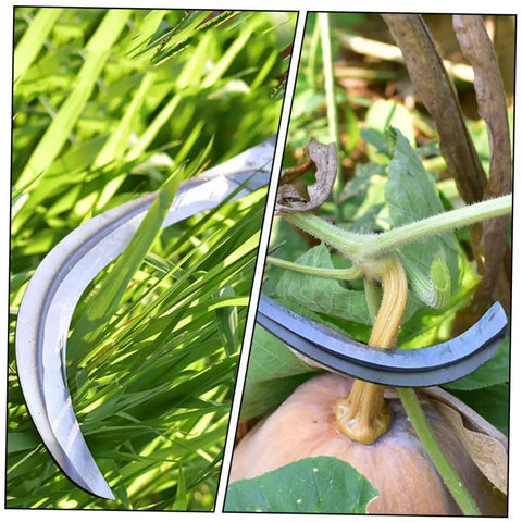 Two Pack Handheld Mowing Sickle For Harvesting And Weeding Comfy Grip Garden And Farm Tool used for cutting grass and stems