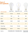 Comparison chart of A19 LED light bulbs showing daylight and soft white options with different wattage, lumens, and uses