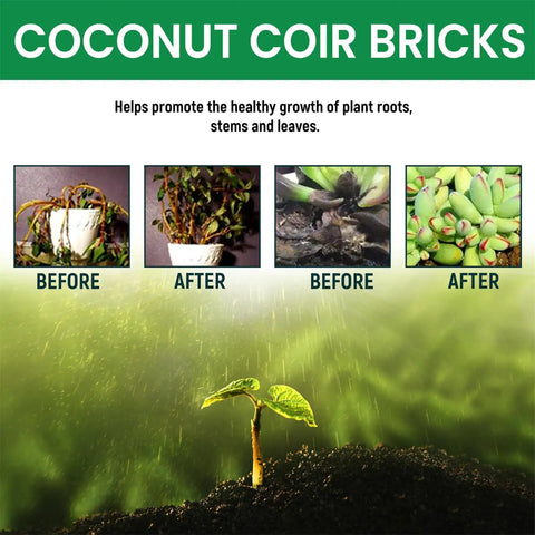 PH Balanced Potting Soil For Indoor And Outdoor Plants With Moisture Control And Aerated Texture Before After Results