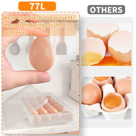 Person placing egg into Deviled Egg Containers With Lids, 2 Pack Plastic Egg Trays For Fridge Or Countertop, Keeps Eggs Secure