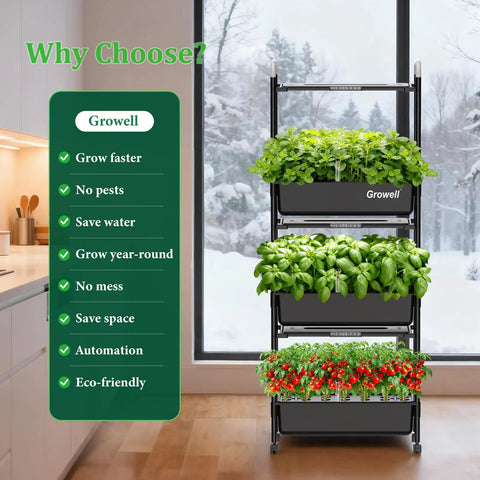 81 Pod Vertical Indoor Hydroponics Garden With Smart LED Grow Light And Auto Circulating Water Pump Three Tier System With 27 Pods Per Tier 42L Capacity in home setting