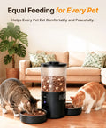 Top Shelf Dual Camera Automatic Pet Feeder With Two Separated Bowls And Six Liter Hopper For Independent Cats And Dogs Smart Programmable Timer, two cats eating side by side.