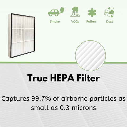 Small True HEPA Filter For Whirlpool Whispure And Kenmore Air Purifiers AP150 AP250 AP25030K with particle capture details