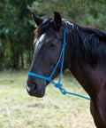 Horse wearing two color horse rope halters set with 4 knot braided nylon 0.31 inch thick adjustable training halters in turquoise