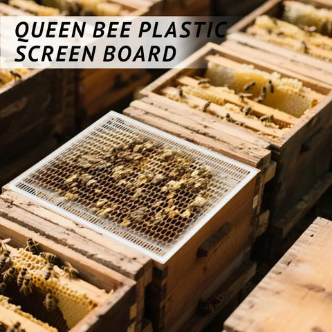 All In One 10 Frame Beehive Parts Kit for Beginner Beekeepers showing plastic queen excluder over hive frames