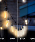 Comparison of Six Pack Dusk To Dawn T10 Tubular LED Filament Bulbs in 2700K to 5000K for outdoor decor.