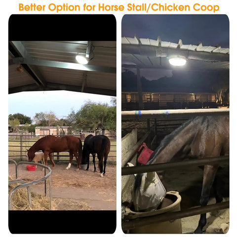 Solar Ceiling Light With Remote Control, Dimmable Daylight To Warm White, in horse stall and chicken coop, 1000 Lumen
