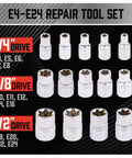 14 Piece ETORX Socket Set Pro Grade Female Torx Sockets For 1 Quarter Inch 3 Eighth Inch And 1 Half Inch Drives E4 Through E24 External Torx Sockets Built To Last And Gearhead Ready For Any Garage Job displayed with drive sizes.