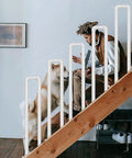 Heavy Duty Wrought Iron Staircase Handrail U Shaped Non Slip Safety Rail Built Tough For Indoor Or Outdoor Rooms Holds Four Forty Pounds Like An Absolute Champ with dog and person