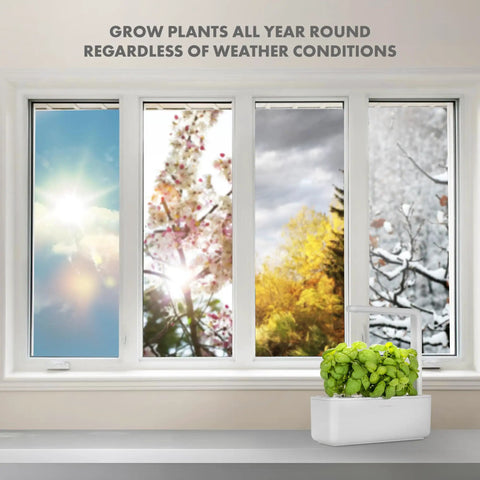 Indoor Herb Garden Kit With Grow Light For Kitchen Windowsill, A Smart Garden That Makes Hydroponics A Breeze, Easy Setup For Fresh Basil And Other Herbs, Self Watering Planter, Includes Three Basil Pods, White, placed on a windowsill with seasonal backdrop.