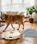 4 Pack Replacement Mop Pads For Roborock Q10 S5 S5 Plus Q10 X5 X5 Plus Robotic Vacuum Cleaner next to a dog in a living room