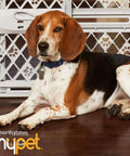 Slick Expandable Portable Pet Gate For Doorways Features No Sweat Pressure Mount Installation Fits 26 To 40 Inches Wide And Stands 23 Inches Tall For Solid Indoor Dog And Baby Door Blocker In Light Gray with a Beagle lounging in front.