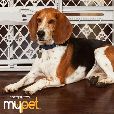 Slick Expandable Portable Pet Gate For Doorways Features No Sweat Pressure Mount Installation Fits 26 To 40 Inches Wide And Stands 23 Inches Tall For Solid Indoor Dog And Baby Door Blocker In Light Gray with a Beagle lounging in front.
