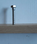 3/8 Inch Hex Head Lag Screws 20 Pack Premium Heavy Duty 304 Stainless Steel Outdoor Construction Bolts Hardy As Nails Pro Level Fasteners For Decking And Fence Projects in wood