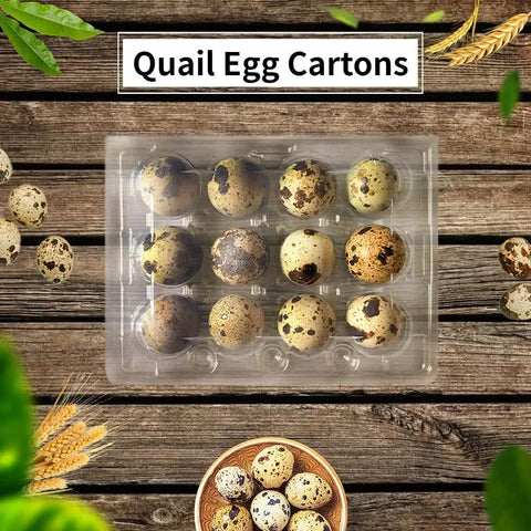 50 Pack Quail Egg Cartons With 12 Grid Trays Each For Storing Quail Pheasant And Pigeon Eggs, Clear PVC Plastic Display