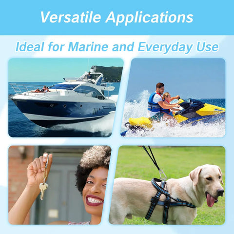 Two-pack marine carabiner snap hooks, stainless steel for boat docking; collage shows yacht, jet ski, keys, dog.