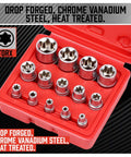 14 Piece ETORX Socket Set Pro Grade Female Torx Sockets For 1 Quarter Inch 3 Eighth Inch And 1 Half Inch Drives E4 Through E24 External Torx Sockets Built To Last And Gearhead Ready For Any Garage Job displayed in red case