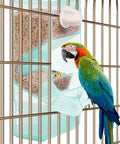 No Fuss Splash Proof Bird Feeder Cage Mount With Secure Buckle Clip And Hanging Rod For Parrots And Finches Easy Breezy Setup Green Seed Bowl with parrot and food.