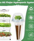 Genovese Basil Seed Pods Kit For Hydroponics Refill With Eight Grow Pods Seeds And Plant Food For All Indoor Gardens
