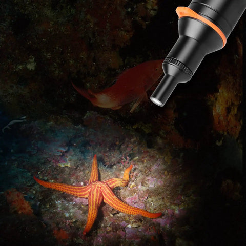 Image showing Aluminum Alloy Underwater Dive Light Snoot For Macro Photography And Videography, Controls Beam For Precise Focus With D530V illuminating coral reef and starfish.