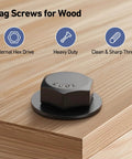 Heavy Duty 12 Pack Five Sixteenths By Two And One Half Inches Hex Lag Screws With Flat Washers And One Half Inch Hex Bit