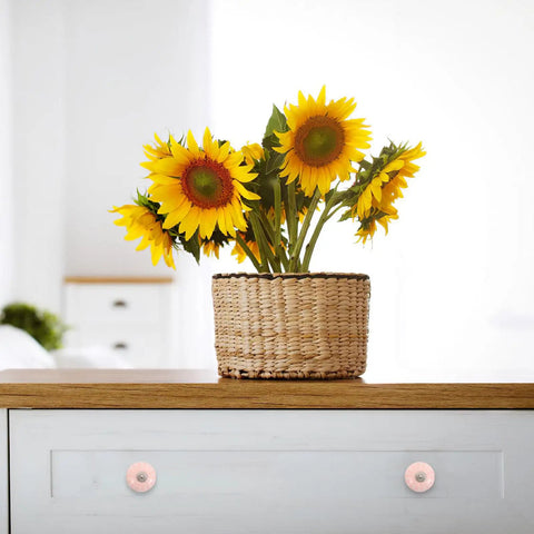 4 Pack Handcrafted Blush Ceramic Drawer Handles For Dresser And Kitchen Cabinets on white dresser under sunflowers