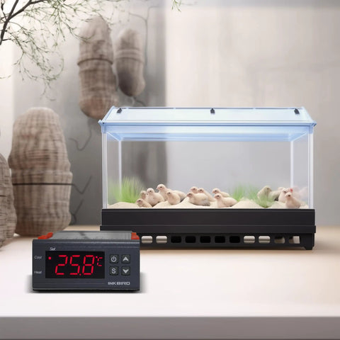 All Purpose Digital Temperature Controller Thermostat With Sensor And Two Relays Fahrenheit And Celsius Display Alarm ITC1000 near aquarium