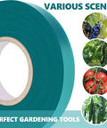 Two Pack 150 Ft Stretch Tie Tape Roll Half Inch Green Vinyl Garden Tie Tape For Plant Training And Staking Indoor Outdoor