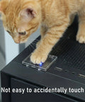 Kitten touching Two Pack Power Button Cover 55mm Dustproof Switch Protector on computer with blue light on top.