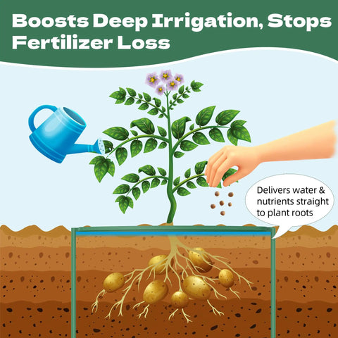 Illustration showing deep irrigation with water can nourishing plant roots, highlighting DIY Plant Grow Ring Kit.