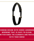 Shock Absorbing Neoprene Surcingle For Horse Training With Adjustable Fit Brass Plated Buckles And Dee Rings