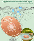 Pure Copper Bird Bath Purification Disk For Outdoor Winter Solar Power Water Fountain No Chemicals No Rust Bird Health Boost Hummingbird Bee Bath Window Feeder Stand Nectar Pole Hanging Birdhouse Accessories
