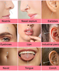 Image illustrating piercing placements including nostrils, nasal septum, earlobes, eyebrows, lips, navel, tongue, and conch.