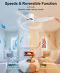 WINDBROOK Modern Ceiling Fan No Light, 42 Inch Black 3 Blade Ceiling Fan With Remote, features speeds for summer and winter use.