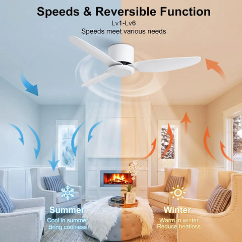WINDBROOK Modern Ceiling Fan No Light, 42 Inch Black 3 Blade Ceiling Fan With Remote, features speeds for summer and winter use.