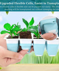 Indoor Seed Starter Kit With Grow Light 60 Flexible Cells 5 Pack Reusable Germination Trays showing silicone cells with seedlings