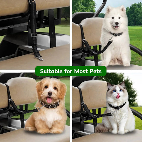 Universal Golf Cart Dog Leash And Pet Safety Harness With Quick Snap Backrest Clip securing pets in golf cart seats.