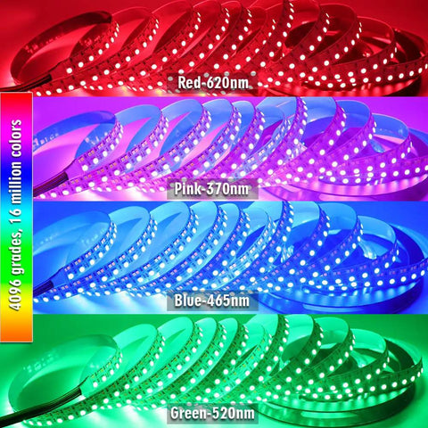 Ultra Bright Dual Row RGB CCT Flexible LED Strip Lights 270 LEDs Per Meter 5050 RGB And 2835 Warm White Daylight in various colors