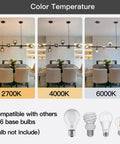 Color temperature options for Mid-Century Glass Globe Pendant Light Fixture In Black And Gold, E26 compatible bulbs not included