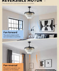 SYDACG 42" Black Crystal Fandelier Ceiling Fans with Lights, showcasing reversible motor for cooling and air circulation.