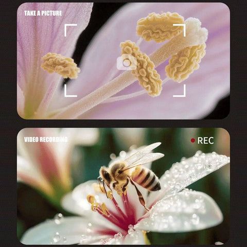 USB Rechargeable Handheld Microscope With 500x Magnification showing a close-up of pollen grains and a bee on a flower.